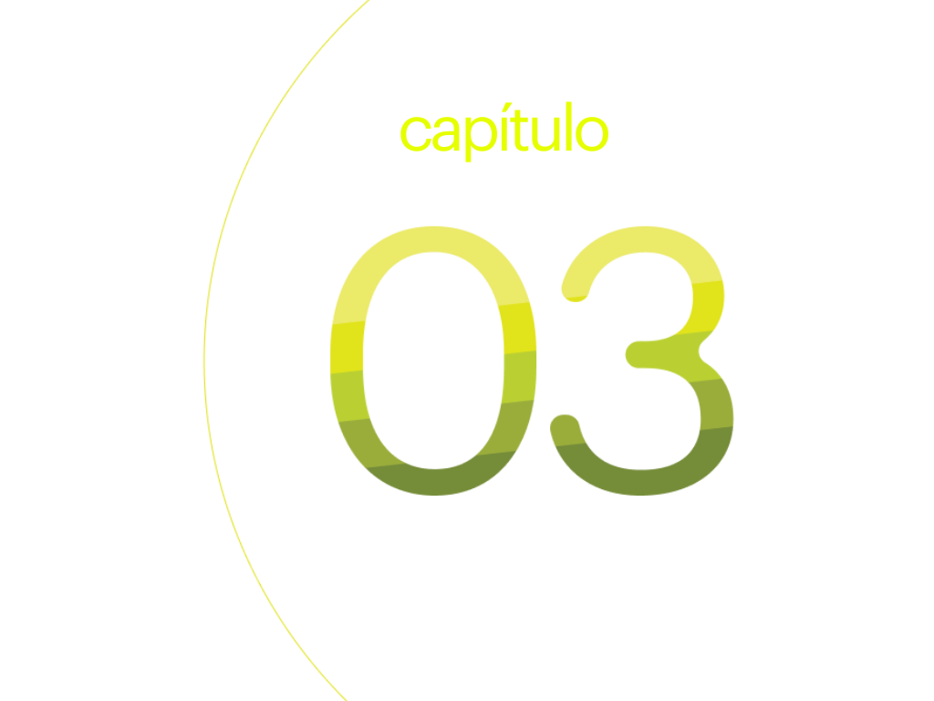capítulo 3.