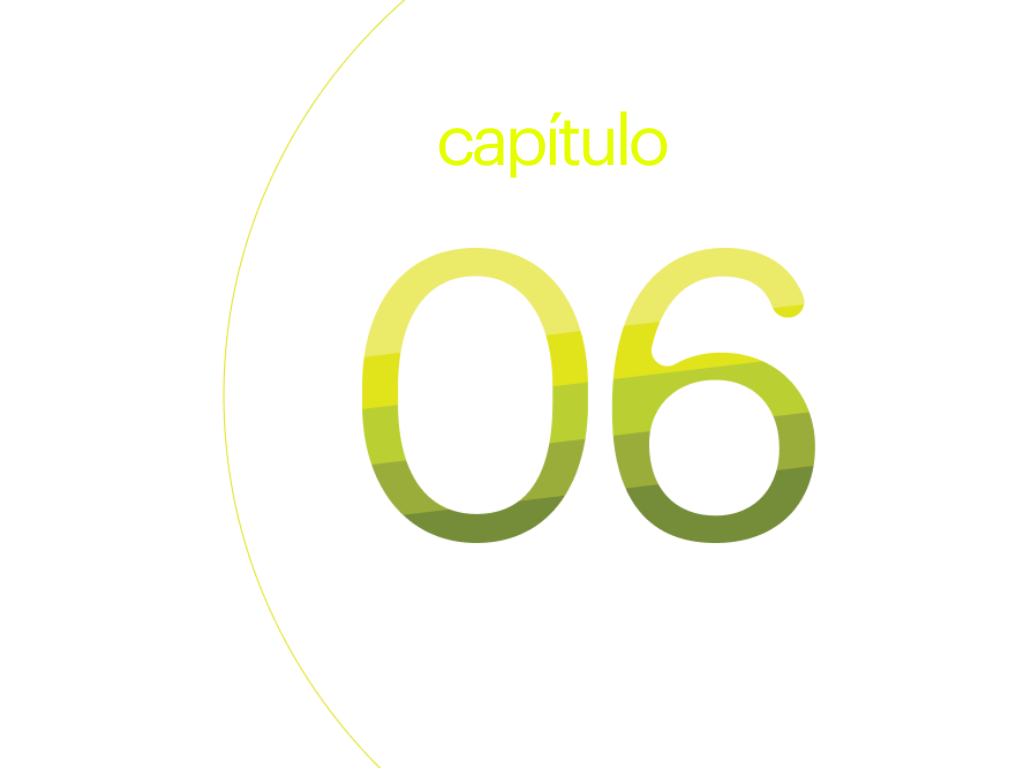 capítulo 6.