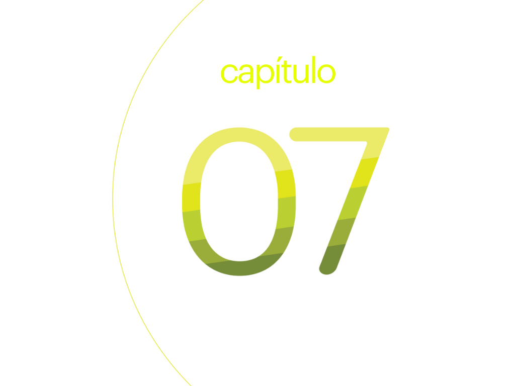 capítulo 7.