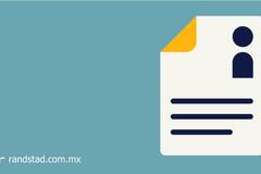 cv poca experiencia