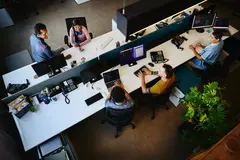 un grupo de colaboradores en la oficina.